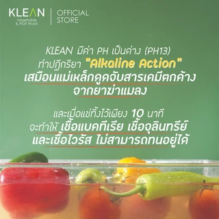 แพ็ค 2 ขวด✨ KLEAN ผงล้างผักและผลไม้ Food Grade จากเปลือกหอยเชลล์โฮตาเตะ วัตถุดิบจากญี่ปุ่น