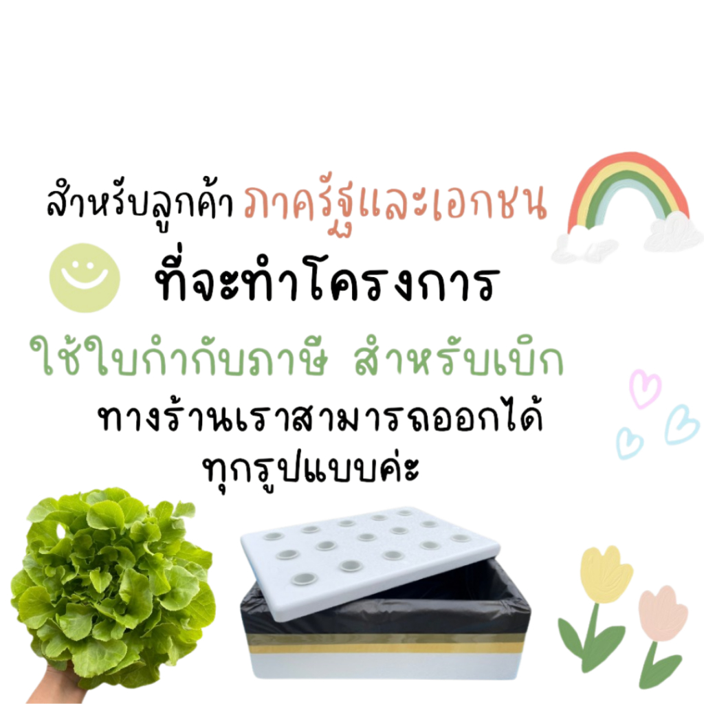 ถ้วยปลูกสีเขียว 100 แผง ถ้วยปลูกผักไฮโดรโปนิกส์ (ชุด 100 รูปที่ 5