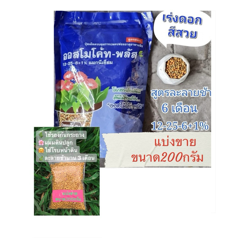 ปุ๋ยออสโมโค้ท 12-25-6+1% เร่งดอก สีสวย