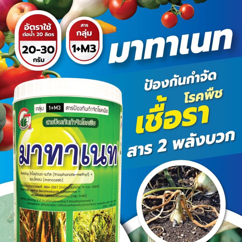 มาทาเนท 1กก. แมนโคเซบ (mancozeb) + ไทโอฟาเนต-เมทิล (thiophanate-methyl) 50% + 20% WP