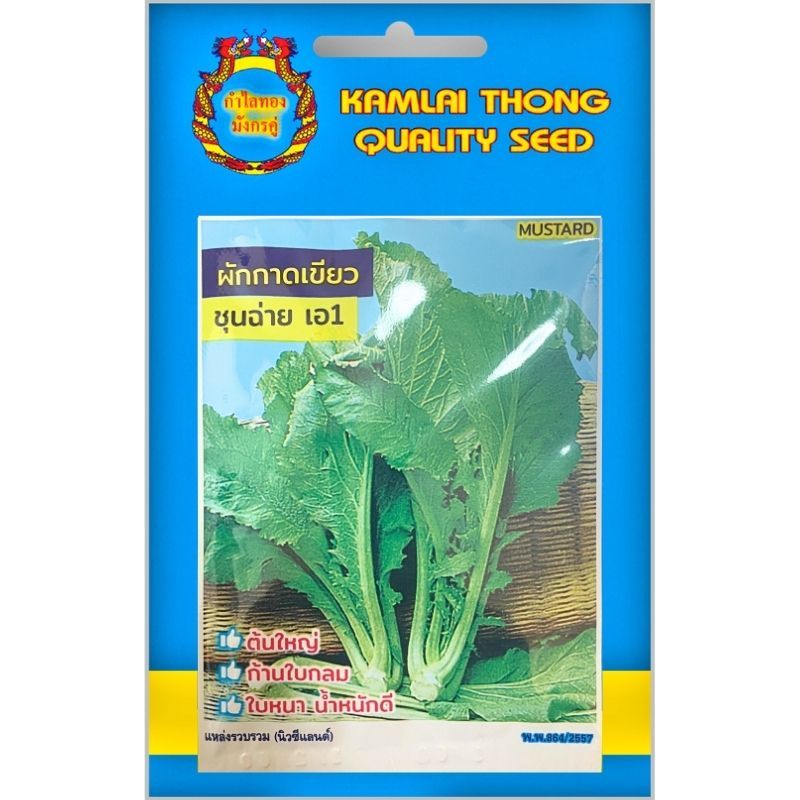 เมล็ดพันธุ์ผักกาดเขียว พันธุ์ชุนฉ่าย เอ1 ตรากำไลทอง