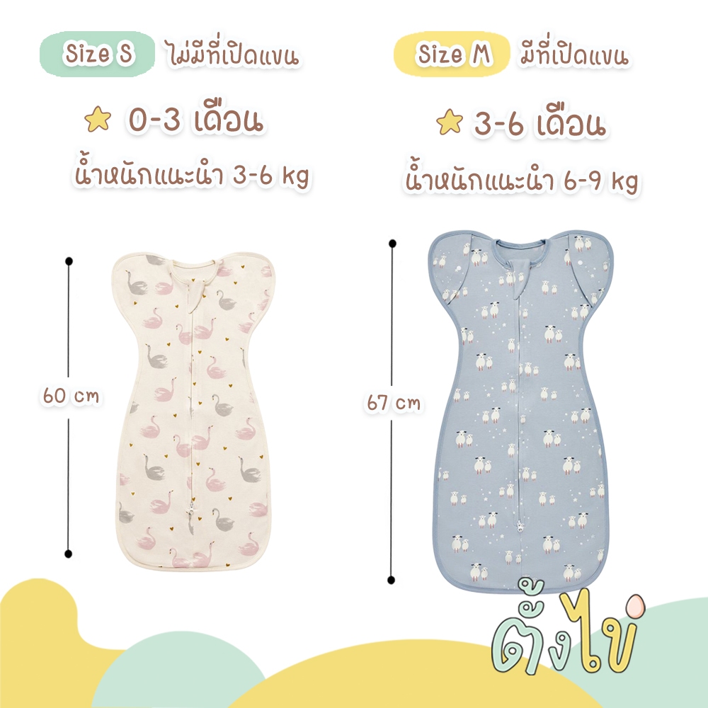 รูปภาพ 8