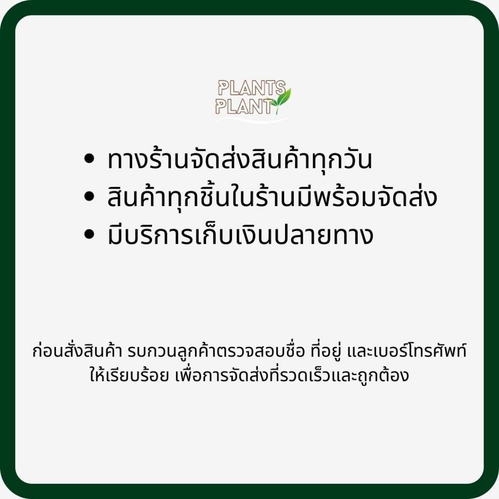 อะซีทามิพริด (acetamiprid) 1ลิตร กำจัดแมลง กำจัดเพลี้ย แมลงหวี่ขาว หนอนช้อนใบ ด้วง กำจัดหนอน - รูปที่ 2