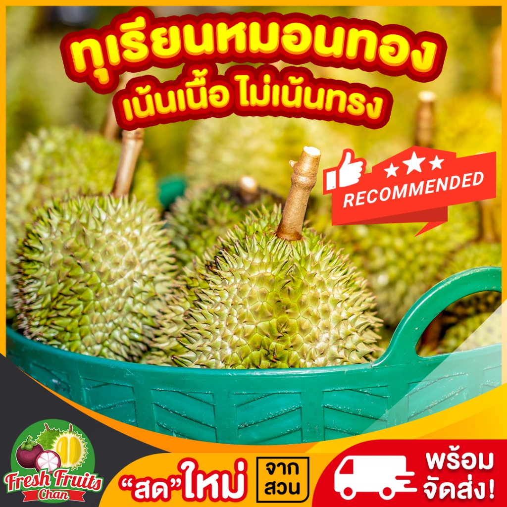 💥ส่งฟรี‼️🌟ทุเรียนหมอนทอง✅ตัดแก่ไม่เน้นทรงสดจากสวนจันทบุรี