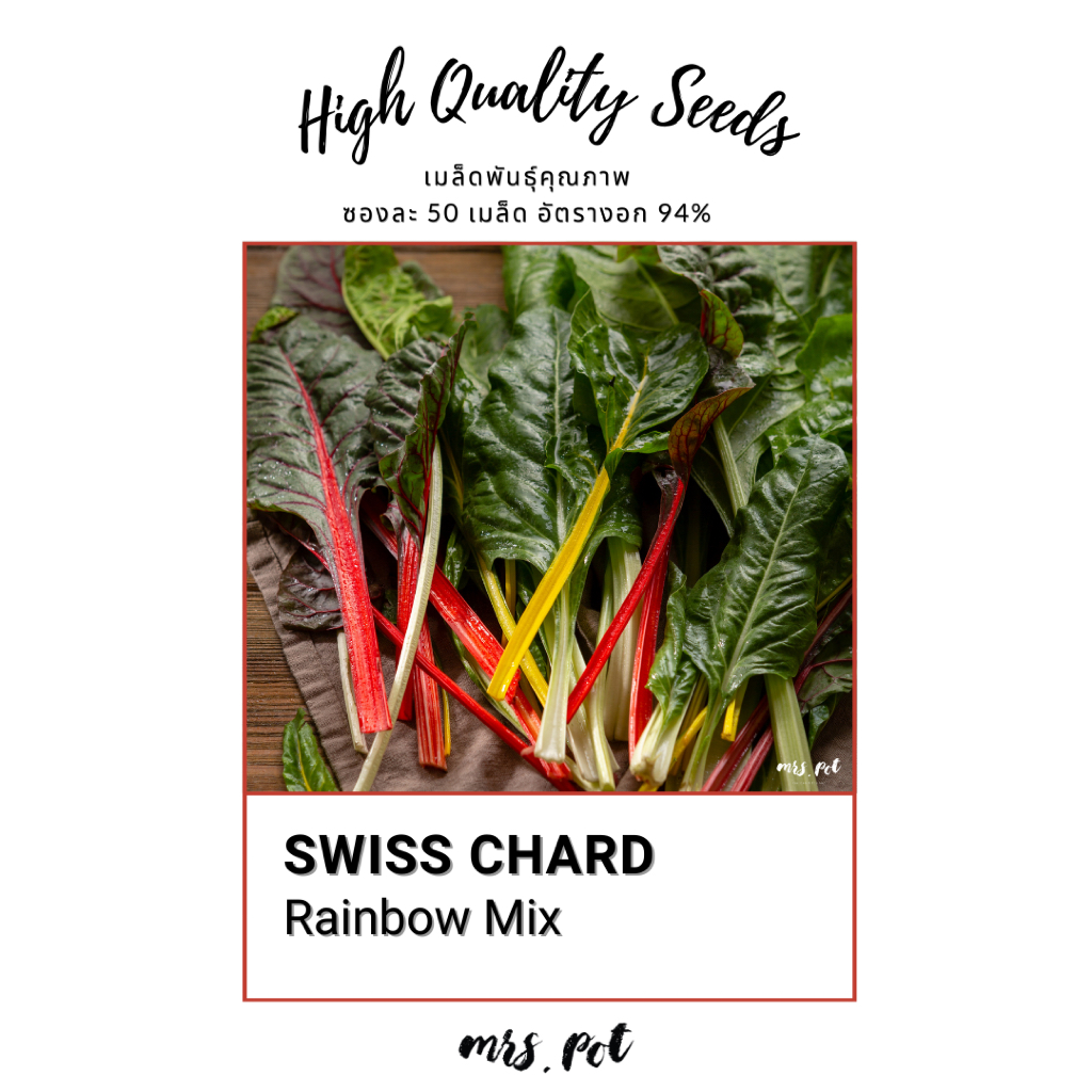 เมล็ด Rainbow Swiss Chard Mix รหัส076