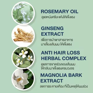 [ Set 2 ชิ้น ] Kraam Shampoo Rosemary & Ginseng Extract +Revitalizing Conditioner (Rosemary & Ginseng Extract
