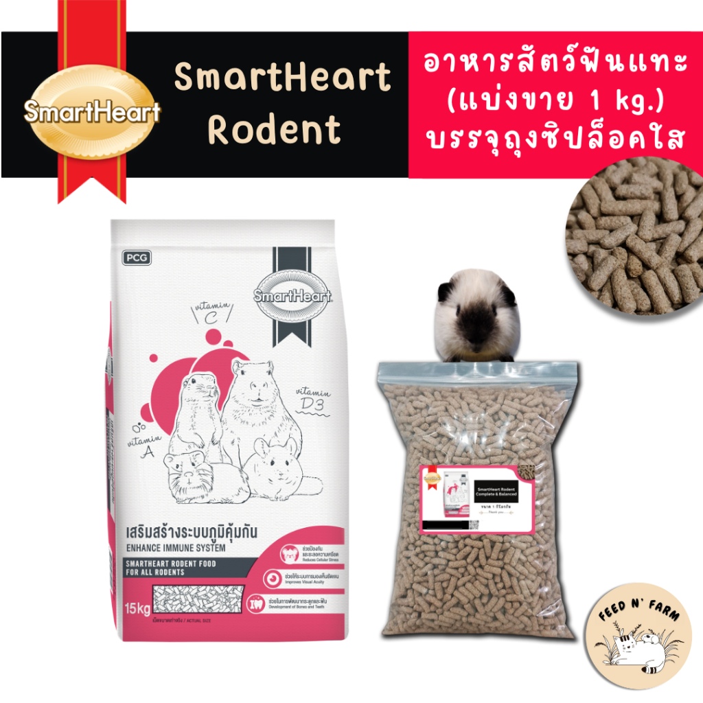 (แบ่งขาย 1 kg./3 kg.) SmartHeart Rodent อาหารสัตว์ฟันแทะ แกสบี้ หนูตะเภา ชินชิลล่า สูตรคอมพลีทแอนด์บาลานซ์ 1kg./3 kg.