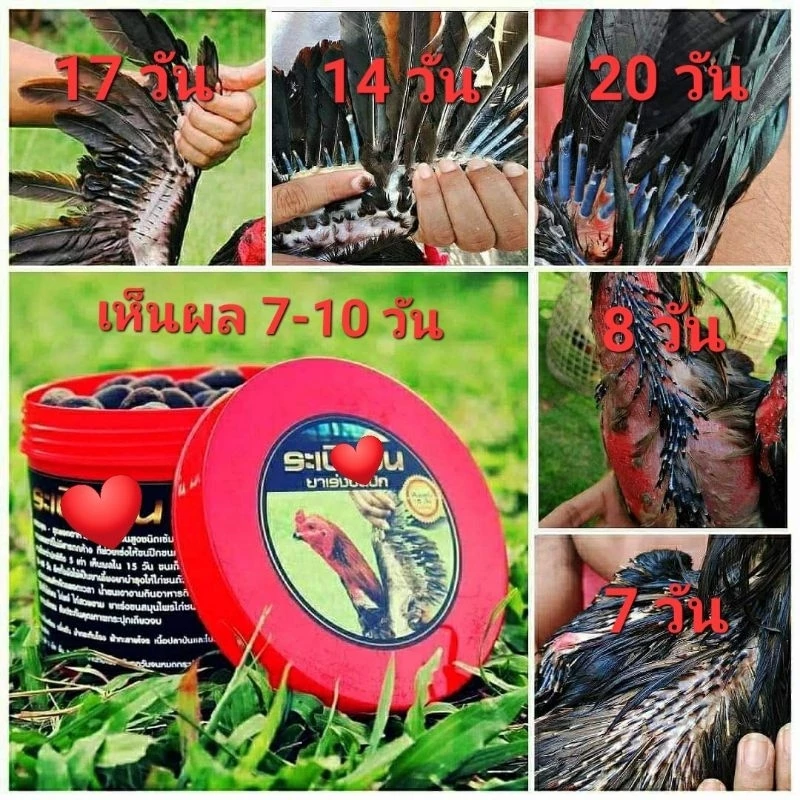 ยาเร่งขนตราระเปิดขน 200 กรัมราคาพิเศษจากผู้ผลิต