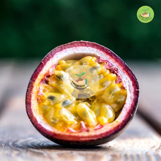 พิเศษ9บาท เมล็ดพันธุ์เสาวรส ไทนุง 10 เมล็ด