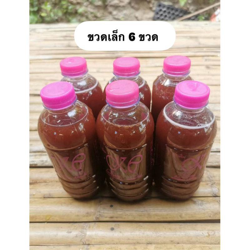 หัวเชื้อจุลินทรีย์สังเคราะห์แสง แพ็ค6ขวดเล็ก