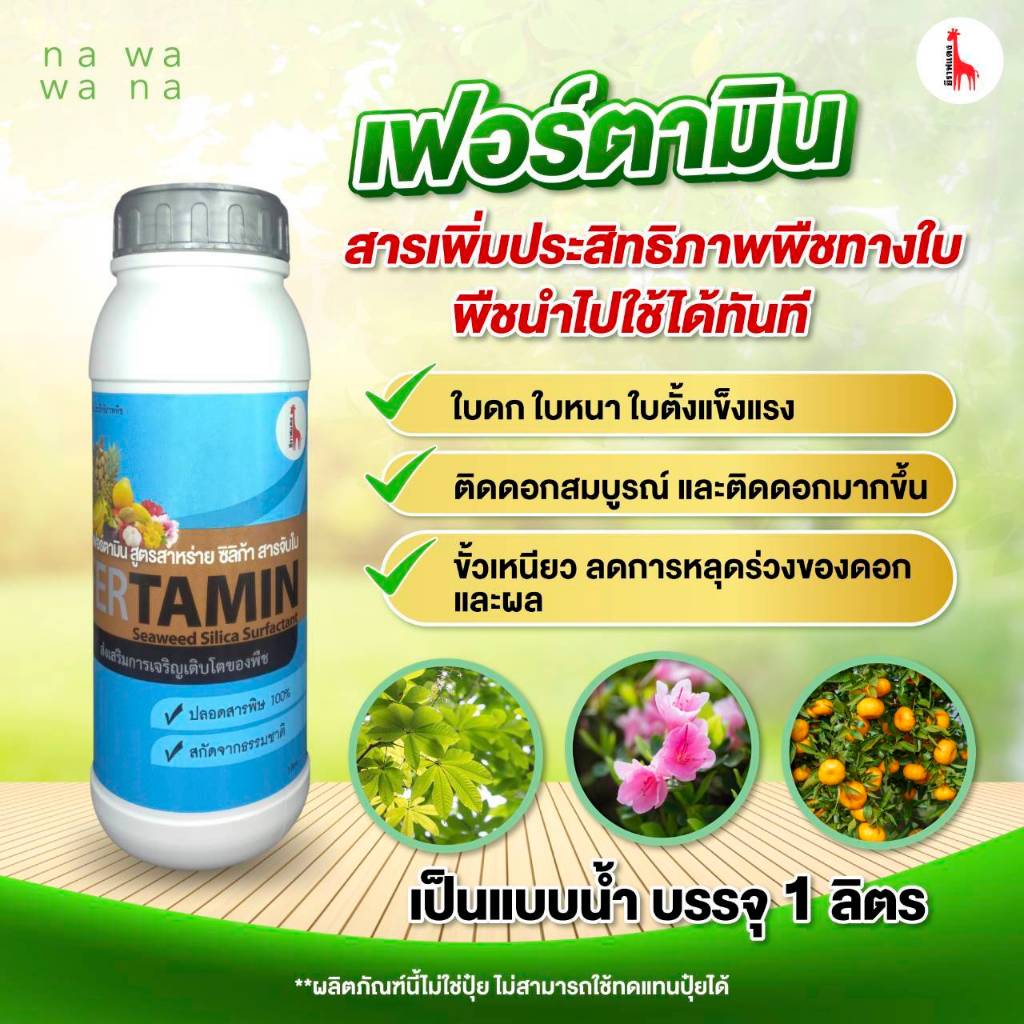 เฟอร์ตามิน สารเพิ่มประสิทธิภาพพืชทางใบ พืชนำไปใช้ได้ทันที ใบเขียว ใบดก ใบตั้ง