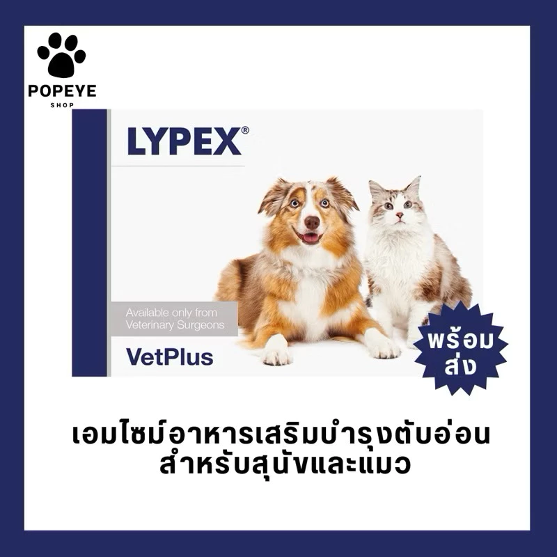 Lypex vetplus พร้อมส่งจากไทย ถูกมาก ส่งไว แท้ 100% เอนไซม์ช่วยย่อยอาหารสำหรับสุนัขและแมว