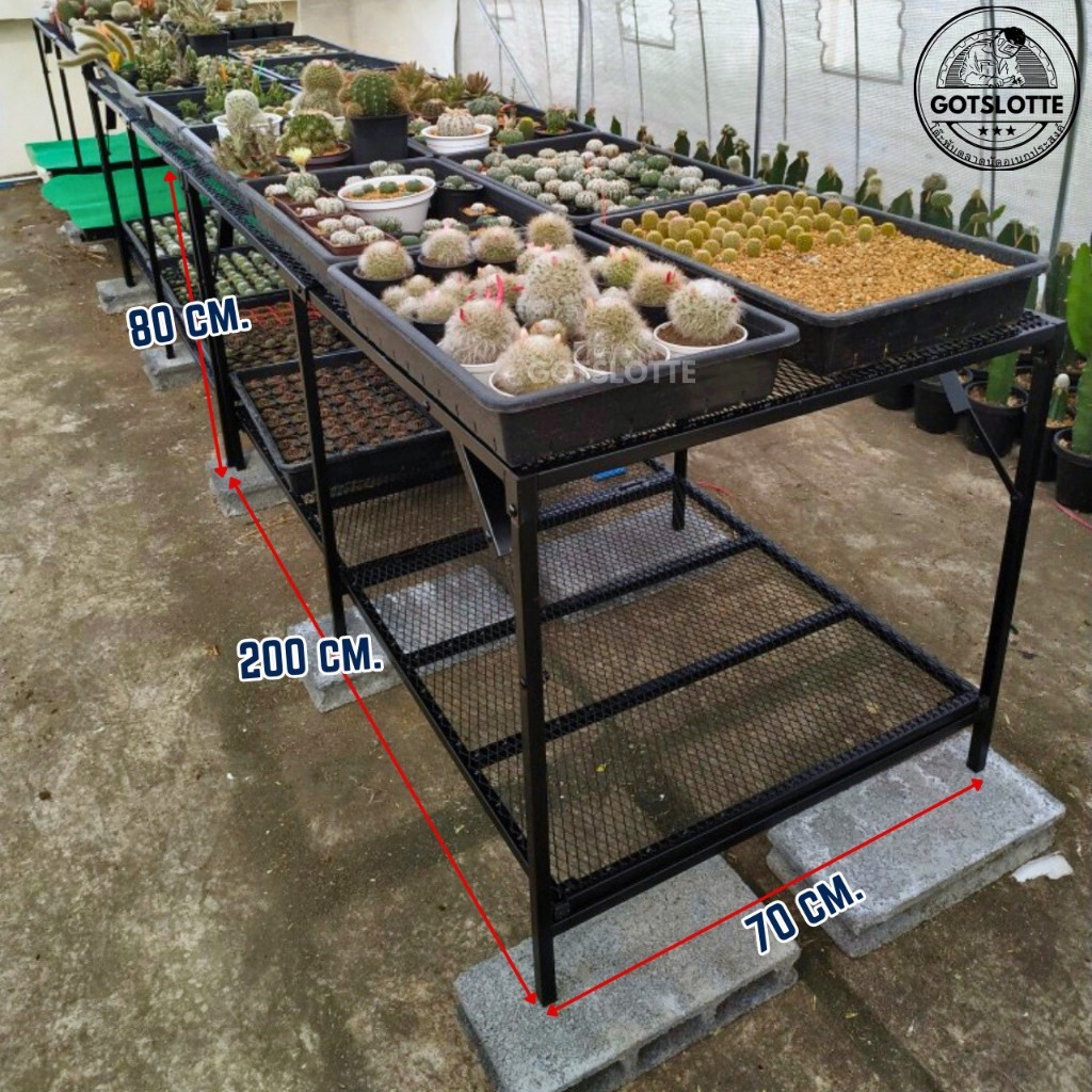 โต๊ะพับตะแกรงเหล็กฉีก 2ชั้น ขนาด ก.70*ย.200*ส.80 cm. พับครึ่งได้ ตะแกรงล่างถอดได้ (pre-order)