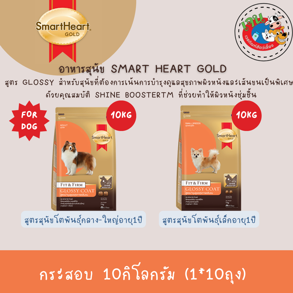 Smart Heart Gold Fit&Firm Glossy Coat สมาร์ทฮาร์ท โกลด์ ฟิตแอนด์เฟิร์ม กลอสซี่ โค้ท 10kg.
