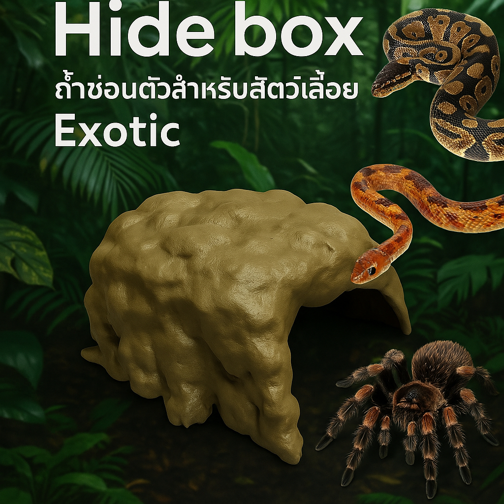 🔥[ถูกมาก]🔥Reptile Hide Box ถ้ำซ่อนตัวสำหรับสัตว์เลื้อยคลาน