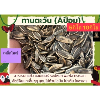 ทานตะวัน เอป้อมใหญ่ (แบ่งขาย 5kG.-10KG.) อาหารนกแก้ว อาหารแฮมเตอร์ และสัตว์ฟันแทะ