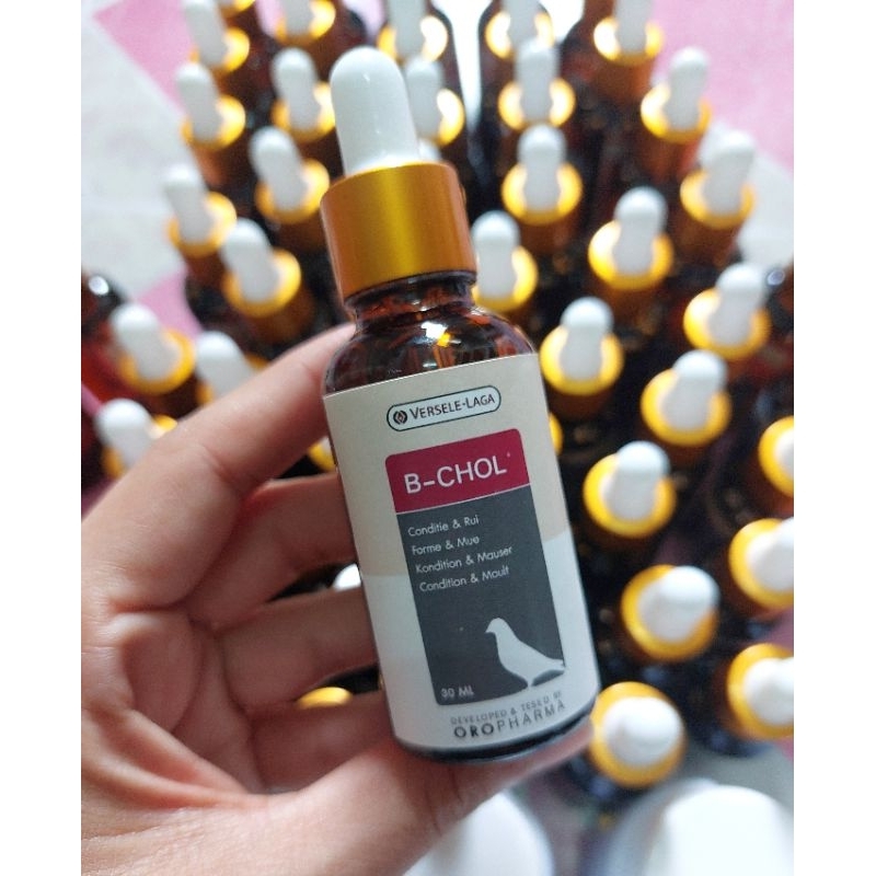 B-chol บีโคล 30 ml.ขวดแบ่งขาย วิตามินบำรุงตับขับสารพิษ สร้างปีกและขนใหม่ให้แข็งแรง
