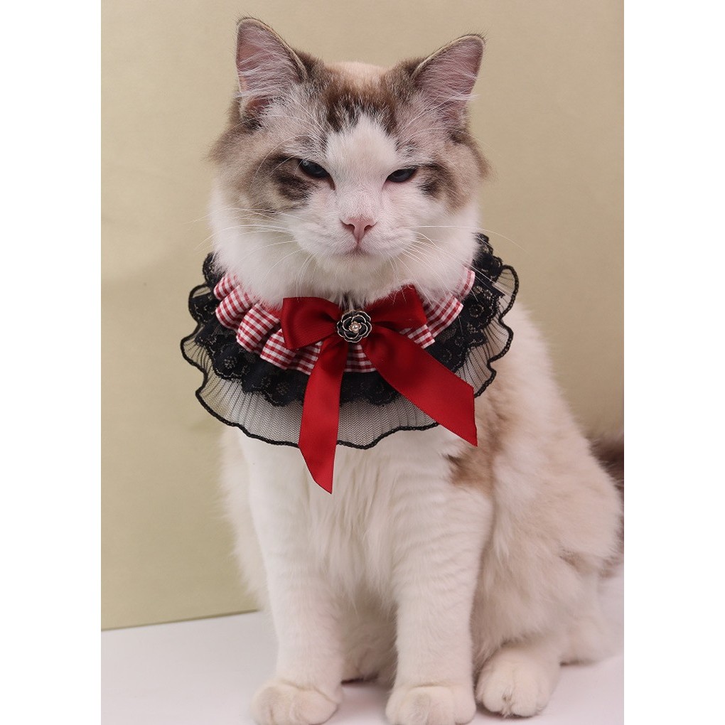 [ ABC cat ] [ปลอกคอPC022] ฟรุ้งฟริ้ง ปลอกคอสำหรับน้องหมาน้องแมว