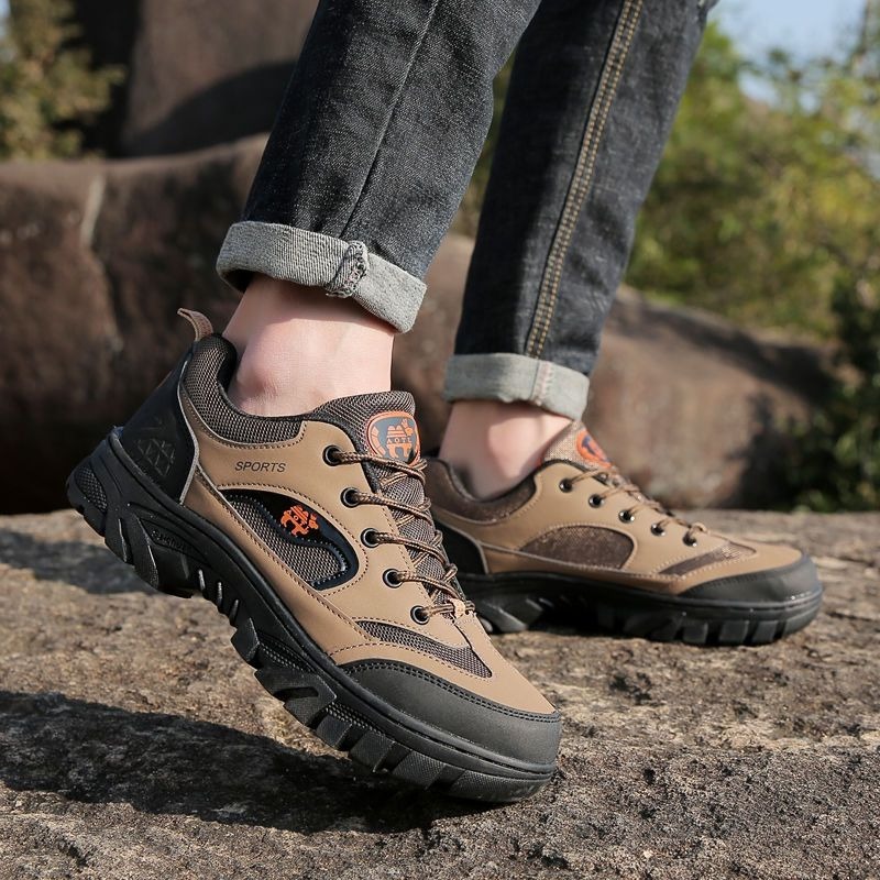 รูปภาพ 5