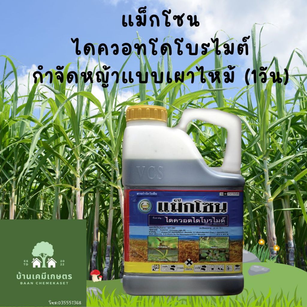 แม็กโซน ไดควอตไดโบรไมต์ ขนาด4ลิตร ฉีดหญ้าแบบเผาไหม้ ออกฤทธิ์ภายใน1วัน