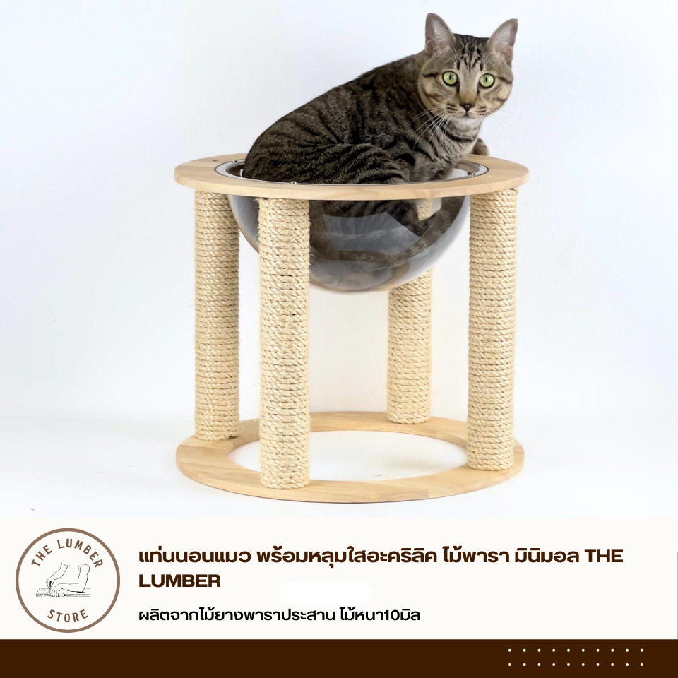 แท่นนอนแมว พร้อมหลุมใสอะคริลิค ไม้พารา มินิมอล THE LUMBER