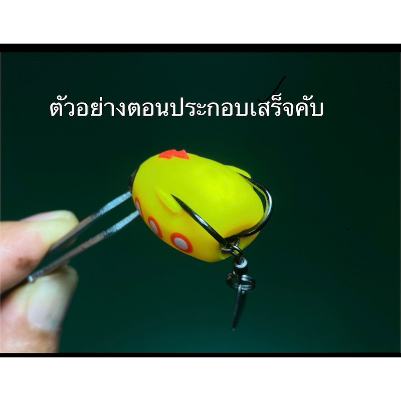 Thumbnail 5