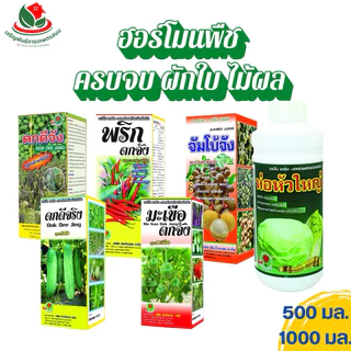 ดกจริง ดกจัง ฮอร์โมนอะมิโนพืช 1 ลิตร และ 500มล. ครบจบทั้งผักใบ ไม้ผล สร้างเซลล์พืช สร้างแป้ง สะสมอาหาร ดูดซึมปุ๋ยดีขึ้น