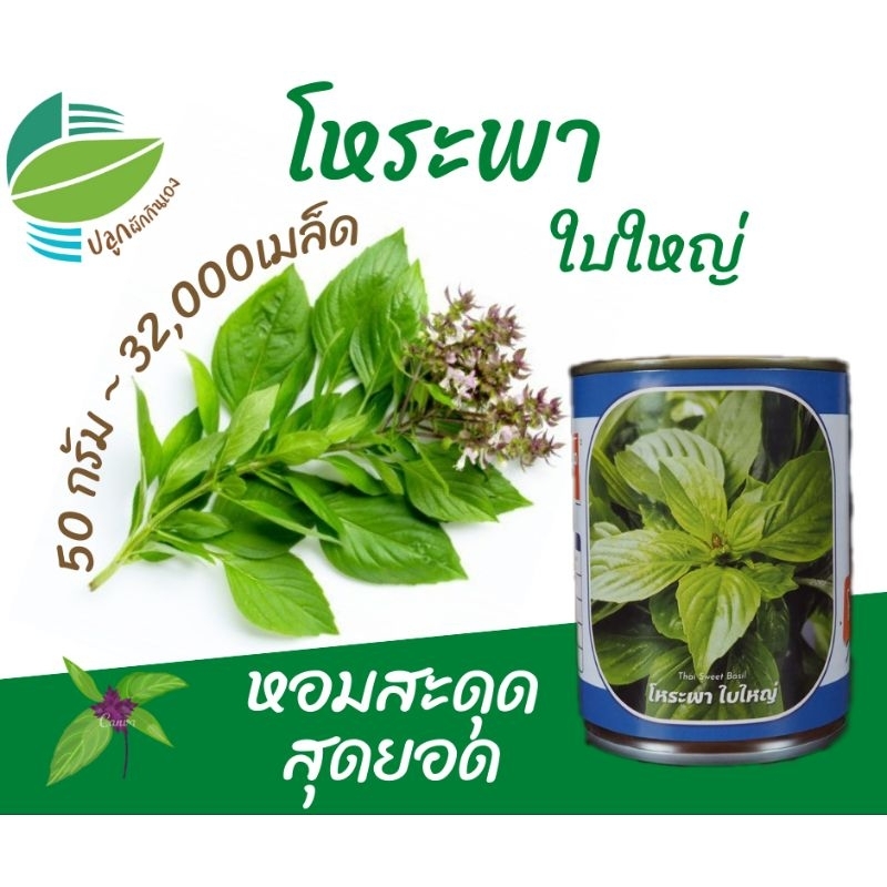 เมล็ดพันธุ์ โหระพาใบใหญ่ 50 กรัม ตราลูกโลก  (sweet basil)​