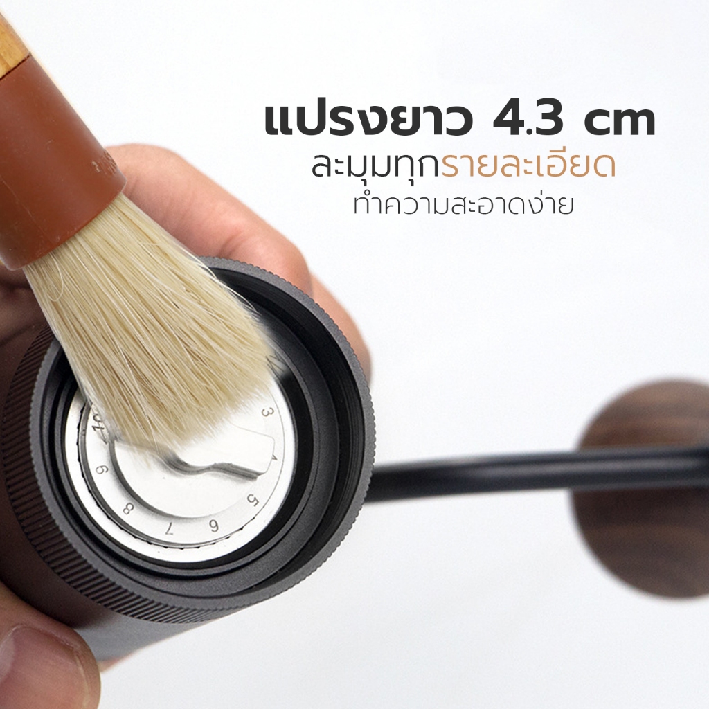 แปรงปัดกาแฟ แปรงปัดผงกาแฟ Coffee Brush แปรงไม้ ขนแปรงนุ่มละเอียด ทำความสะอาดได้ลึก Alechaung coffee - รูปที่ 3