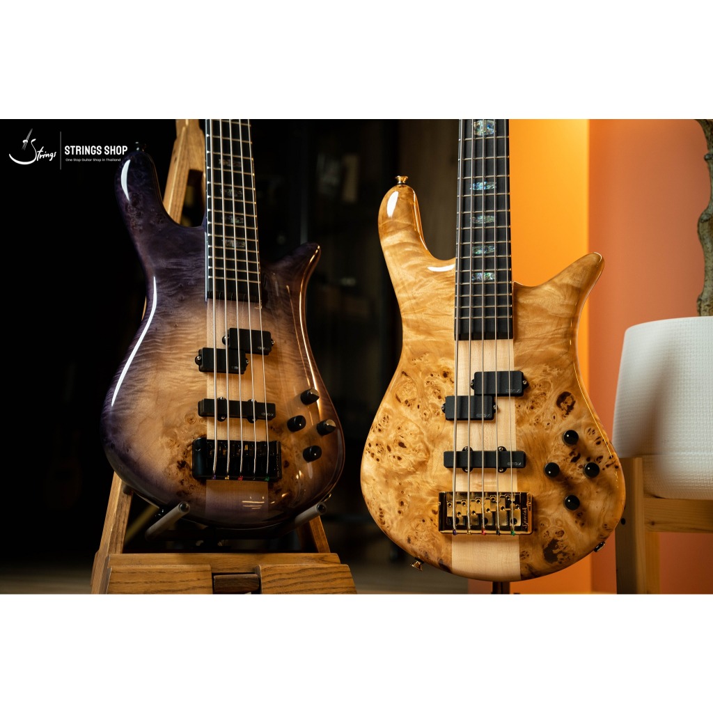 เบสไฟฟ้า Spector Euro 5 CST Electric Bass Guitar