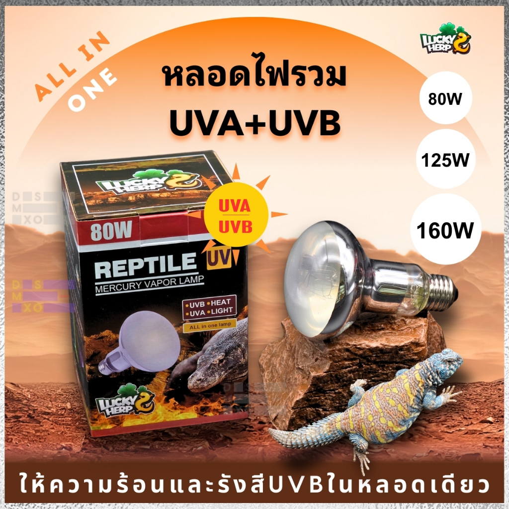 [ส่งด่วน] Lucky Herp หลอดไฟรวม UVA+UVB+ความร้อน+แสงสว่าง ครบจบในหลอดเดียว สำหรับสัตว์เลื้อยคลาน