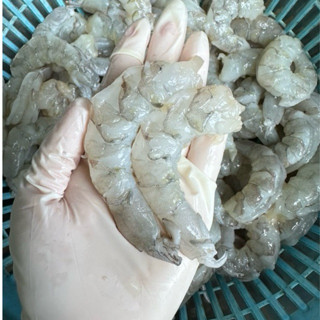 เนื้อกุ้งขาวแกะล้วน ผ่าหลัง🦐 แกะจากไซส์25-30 ตัวโล