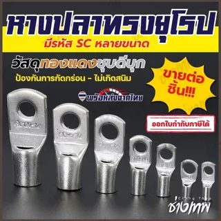 🇹🇭 ส่งเร็วจากไทย! หางปลาทรงยุโรป ทองแดงชุบดีบุก [ขายต่อชิ้น]