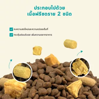 Bite Of Wild F42 ซอง 2กก สูตรปลา 6 ชนิด ปราศจากธัญพืช สำหรับแมวทุกช่วงวัย