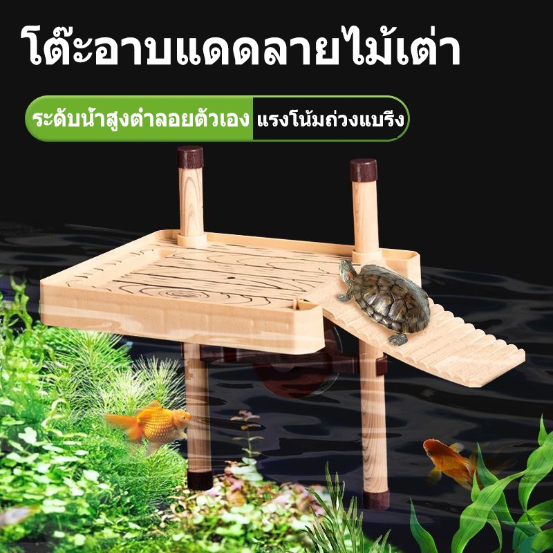 ลานอาบแดดเต่าปีนแท่นและอุปกรณ์ที่พักเต่าอาบแดดติดอยู่กับถังเก็บน้ําและสามารถลอยได้ตามระดับน้ํา แท่นลอยเต่าน้ําญี่ปุ่น