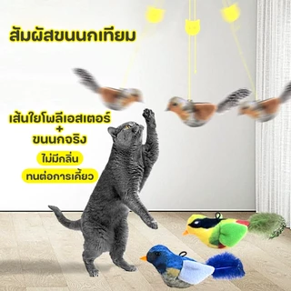 PetStern ของเล่นแมว นกเสียงจําลอง เล่นสนุก โต้ตอบได้ ตุ๊กตานกกระตุ้นความสนใจ Cat Toys