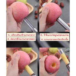 ที่เจาะแกนผลไม้ เจาะเม็ด มะยงชิด คว้านเม็ด อเนกประสงค์ สแตนเลสอย่างดี ใช้งานง่าย จับถนัดมือ