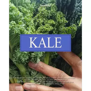 Beanbag superfood Organic Kale Powder เครื่องดื่มซุปเปอร์ฟู้ด ผงผักเคล 100g ออร์แกนิค100% ไม่มีน้ำตาล ไฟเบอร์สูง