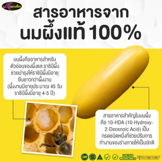 2 แถม 1 #นมผึ้งหนูแหม่ม AWL Royal Jelly 1650mg.นมผึ้งออสเวลไลฟ์ เกรดพรีเมี่ยมนำเข้าจากออสเตรเลีย ของแท้100%