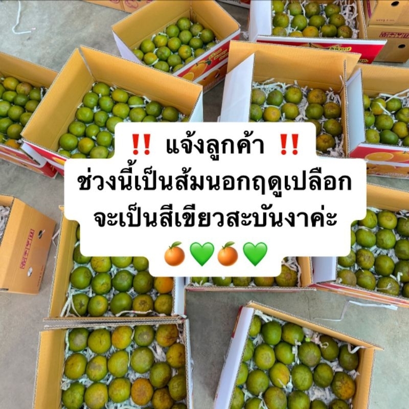 ส้มสายน้ำผึ้งฝาง 5กก. #ส่งฟรี# สำหรับคั้นน้ำแกะทานเนื้อได้ เก็บสดจากสวนทุกวัน