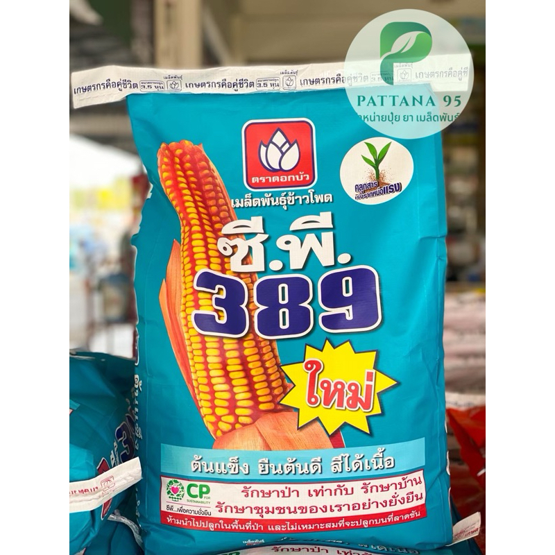 เมล็ดพันธุ์ข้าวโพด ซีพี389 (3.5หุน) *ขนาด 10 กก. ฝักเดี่ยว เมล็ดโต แกนเล็ก เมล็ดลึก