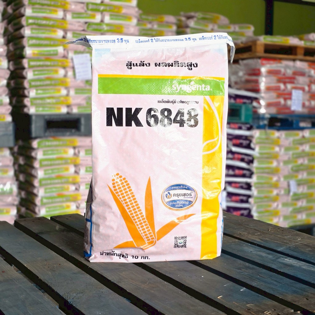 เมล็ดพันธุ์ข้าวโพดเลี้ยงสัตว์ NK 6848 3.5 หุน 10 kg. สู้แล้ง ผลผลิตสูง  (ข้าวโพด เมล็ดพันธุ์ผัก เมล็