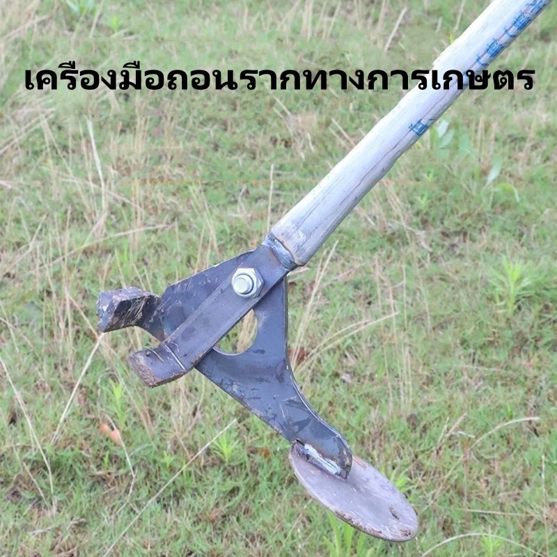 เครื่องมือถอนรากวัชพืชสแตนเลส thumbnail 4