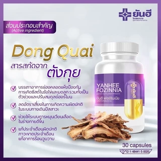 ยันฮี ฟอร์ซินเนีย YANHEE FOZINNIA