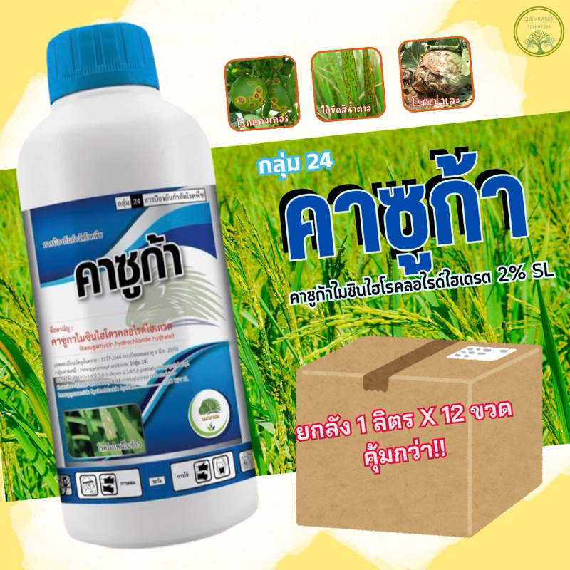 คาซูก้า❤️คาซูก้าไมซิน ขนาด 1ลิตร ยกลัง*12ขวด💕ป้องกันกำจัดเชื้อรา แบคทีเรีย ใบจุด ใบไหม้ โรคเน่าเละ