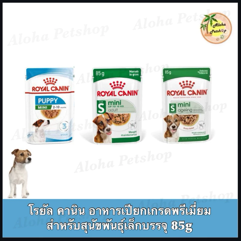 Royal Canin Mini Dog PouchðķāđāļĢāļĒāļąāļĨ āļāļēāļāļīāļ āļāļēāļŦāļēāļĢāđāļāļĩāļĒāļ āļŠāļļāļāļąāļāļāļąāļāļāļļāđāđāļĨāđāļ 85g