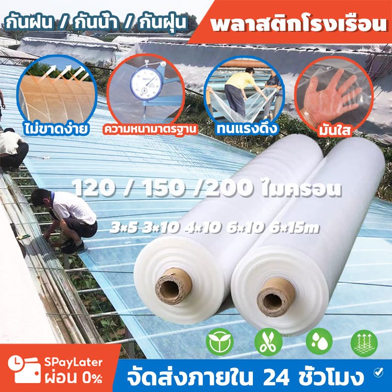 พลาสติกโรงเรือน พลาสติกใส พลาสติกคลุมโรงเรือน กันฝนgreenhouse หนา 200 ไมครอน UV7% โรงเรือนแคคตัส พลาสติกปูบ่อ กันสาด6×15