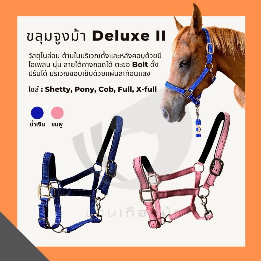 ขลุมจูงม้า  รุ่น  Premium