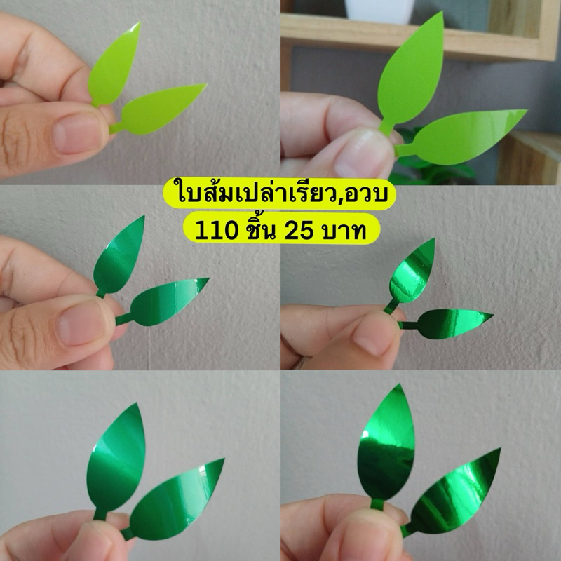 ใบส้มตอก(เฉพาะใบ) เรียว,อวบ TWเงา,เมทาลิค 110 ชิ้น พร้อมส่ง + ของแถม