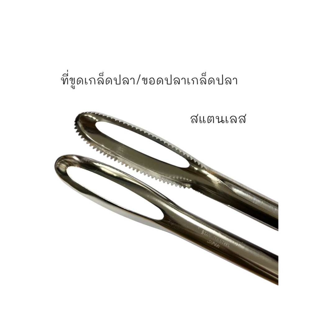 ที่ขูดเกล็ดปลา ที่ขอดเกล็ดปลา ไม้ขอดเกล็ด สแตนเลส 10.5นิ้ว